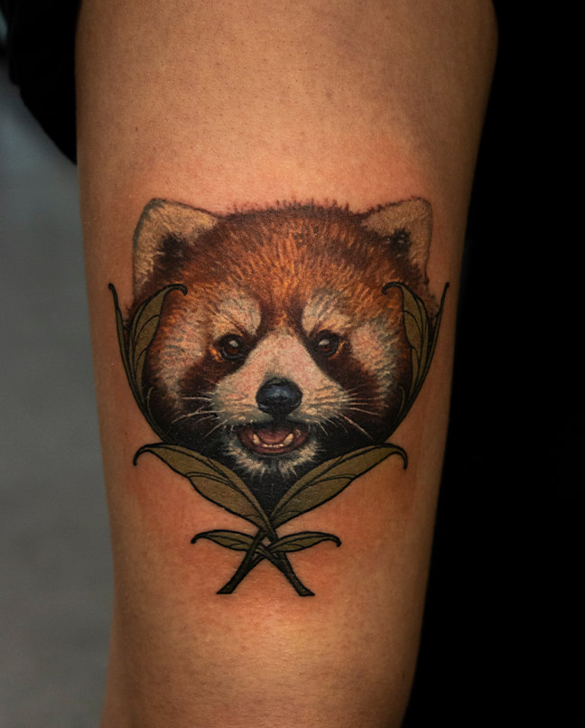 Akos keller everblack sheffield tattoo neo trad colour animal panda