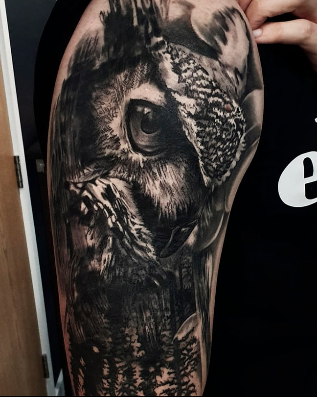 steve upton everblack tattoo studio sheffield realism animal nature portrait owl